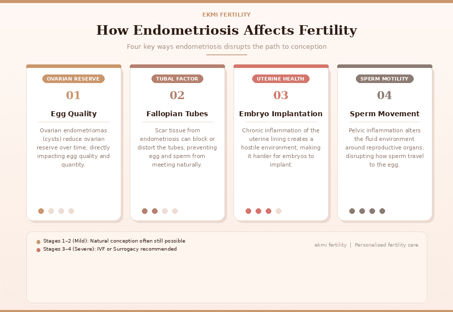 a 4-card layout covering each way endometriosis disrupts fertility