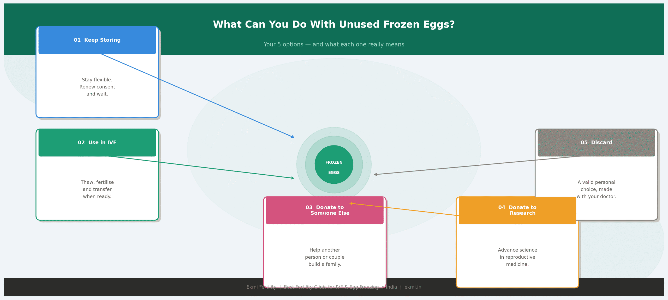 Discover what you can do with unused frozen eggs