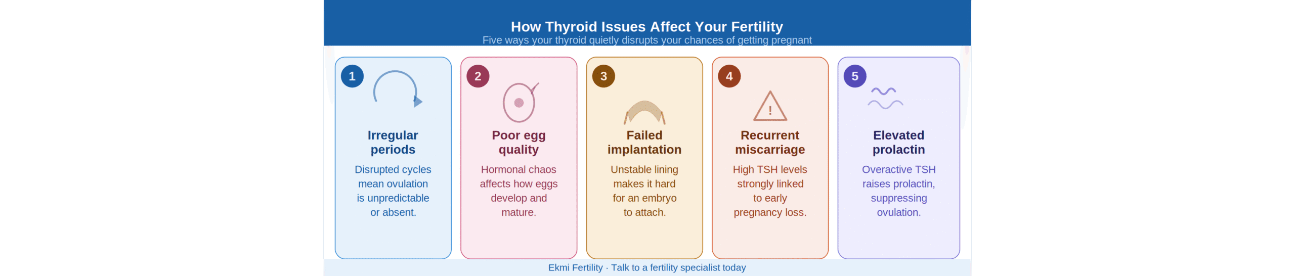 IVF When Your Thyroid Has Affected Egg Quality or Implantation