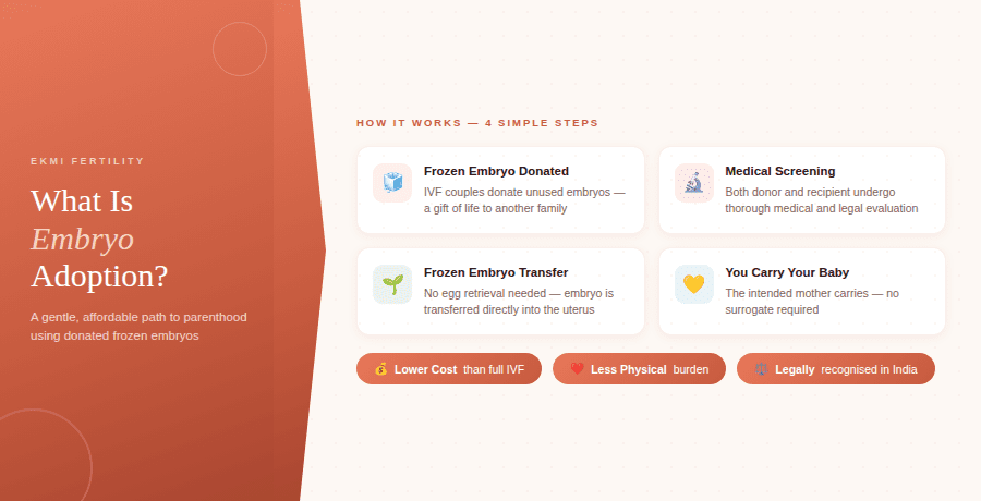 What Is Embryo Adoption