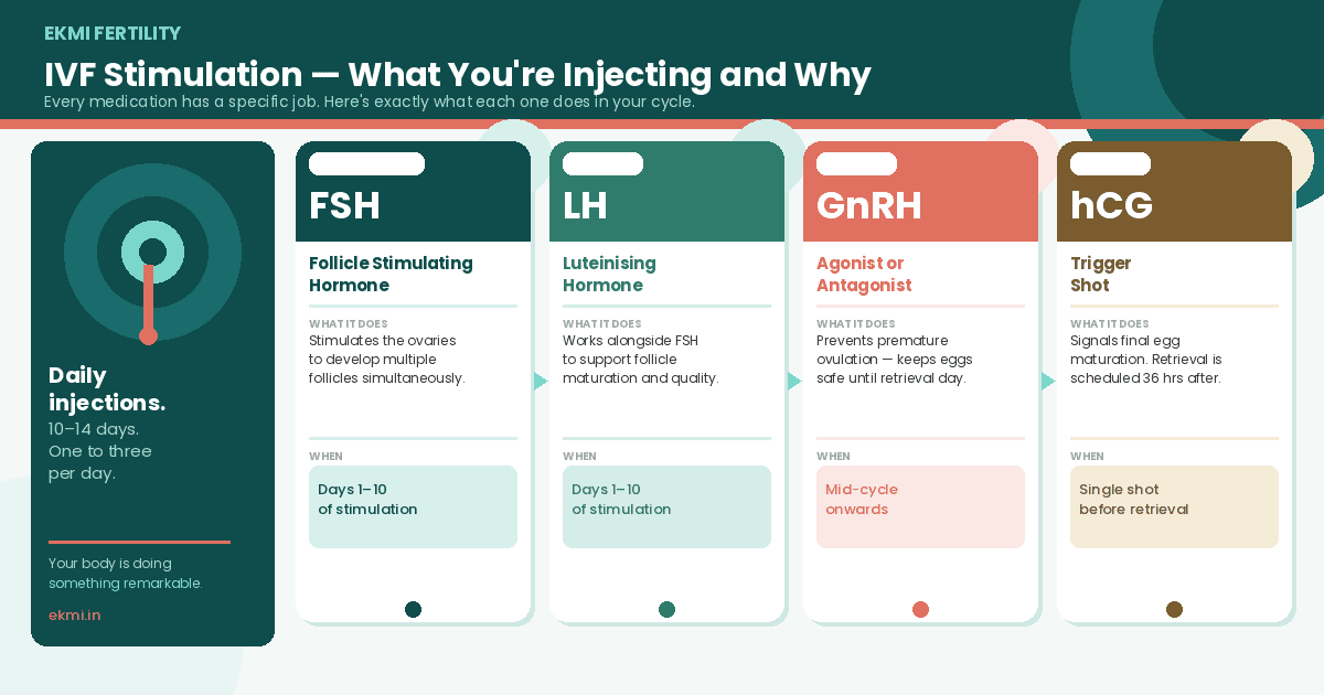 4 IVF stimulation medications explained