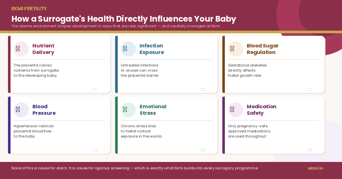 surrogate screening, guaranteed surrogacy program, and comprehensive IVF
