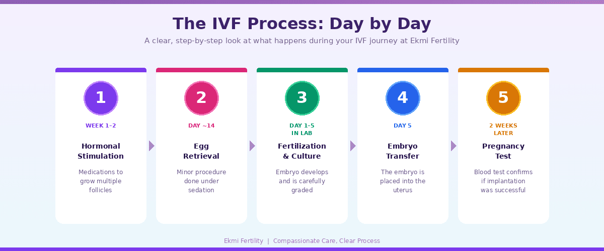 IVF Process Step by Step