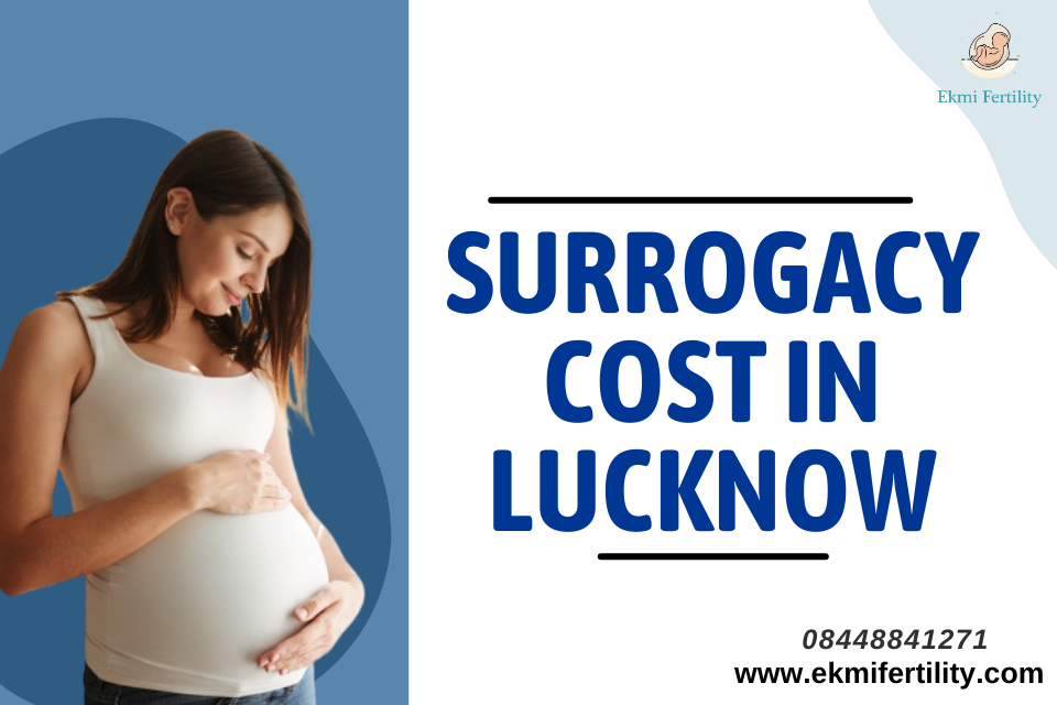 Surrogacy cost-in-Luckmow
