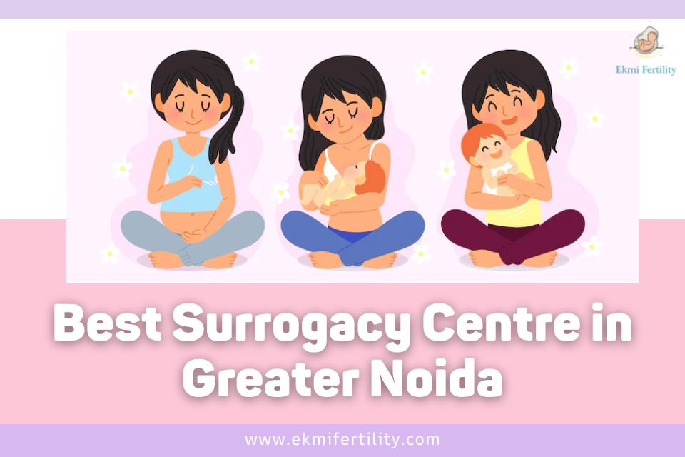 Surrogacy-Centre-Greater Noida