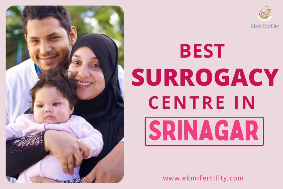 Best-Surrogacy-Centre-Srinagar.png