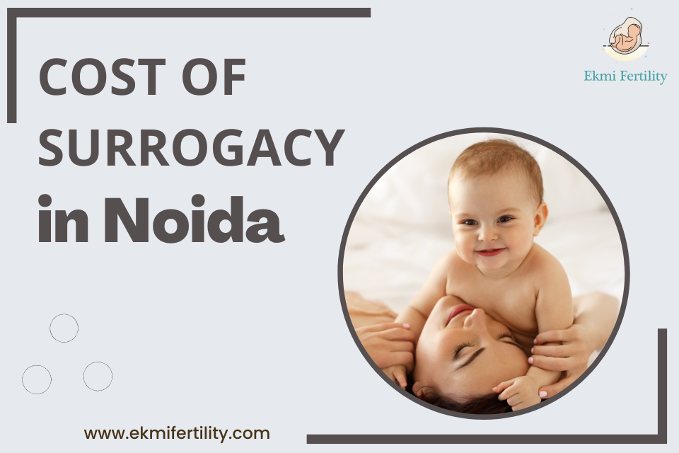 Surrogacy cost-in-Noida