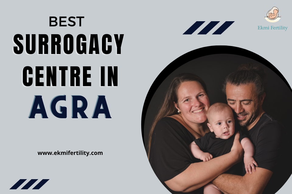 Best-Surrogacy-Centre-in-Agra