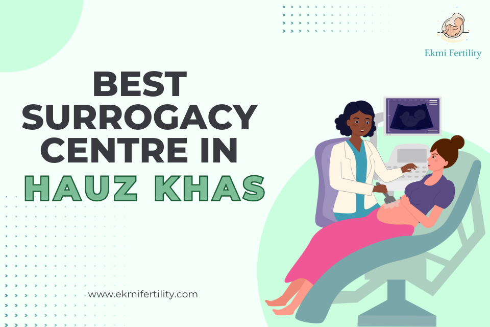 Best-Surrogacy-Centre-in-Hauz-Khas.png