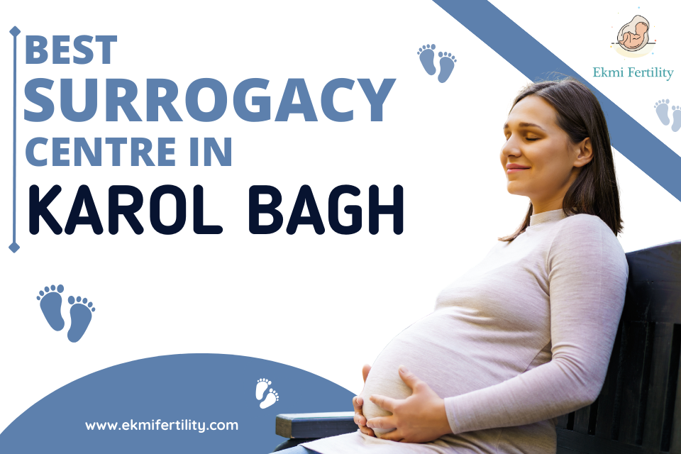 Best-Surrogacy-Centre-in-Karol-Bagh