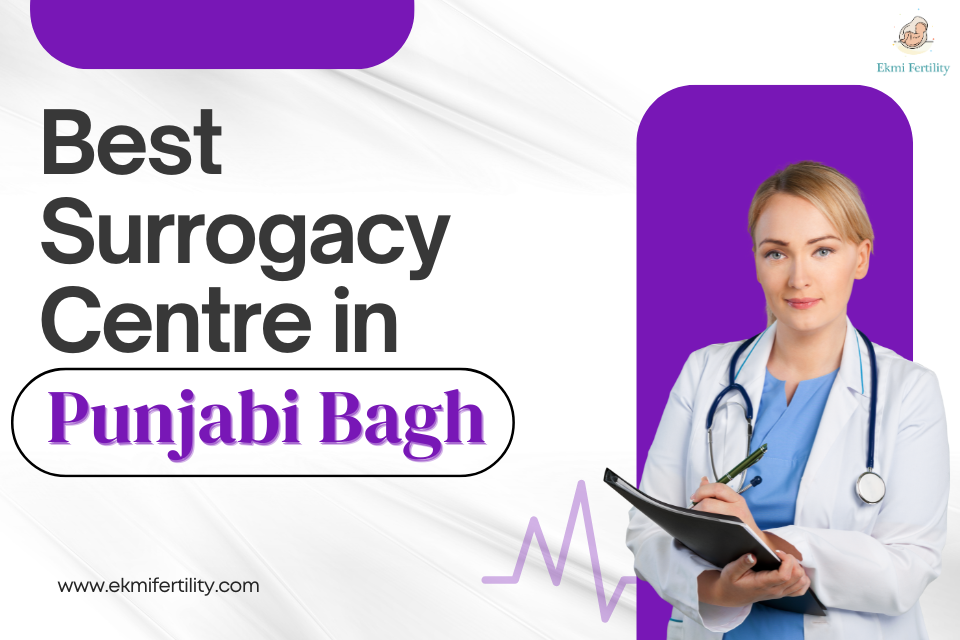 Best-Surrogacy-Centre-in-Punjabi-Bagh.png