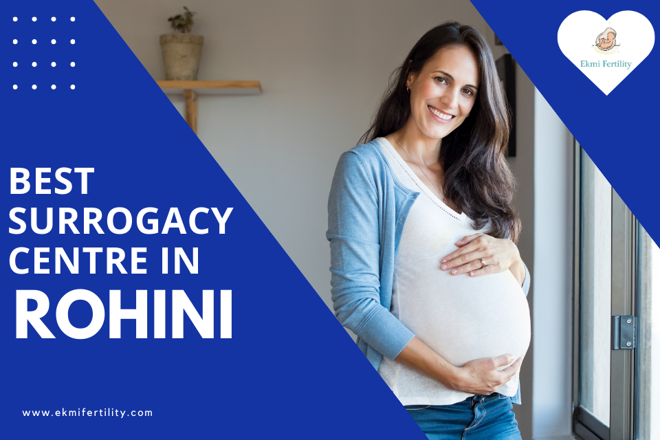 Best-Surrogacy-Centre-in-Rohini