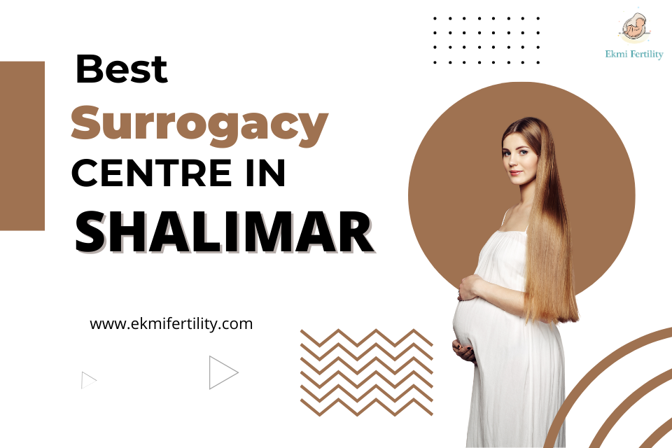 Best-Surrogacy-Centre-in-Shalimar.png