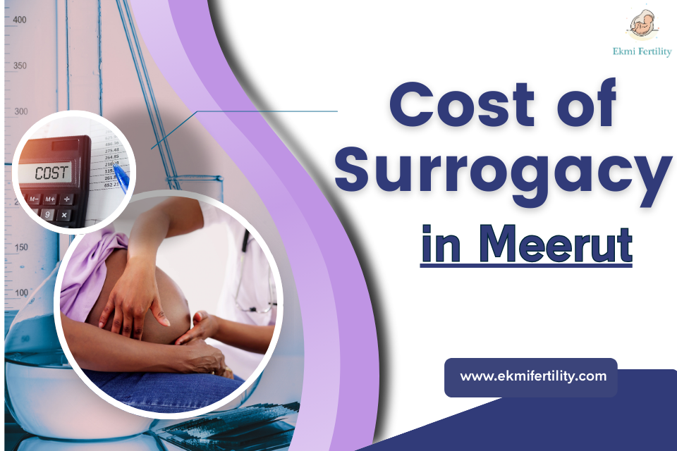 Cost-of-Surrogacy-in-Meerut