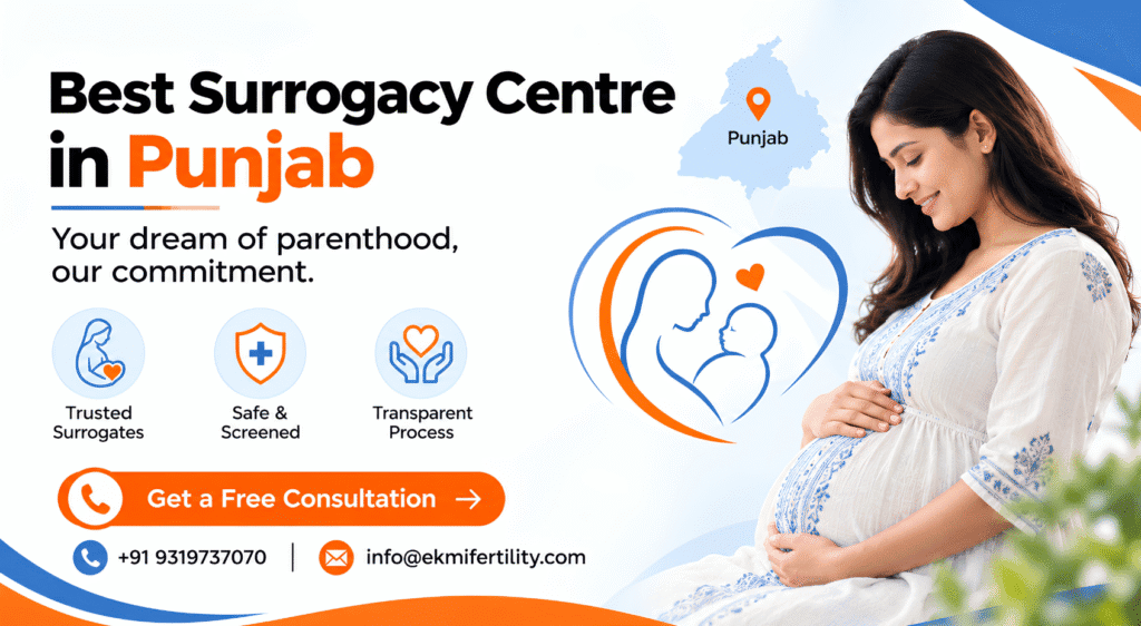 best surrogacy centre in Punjab