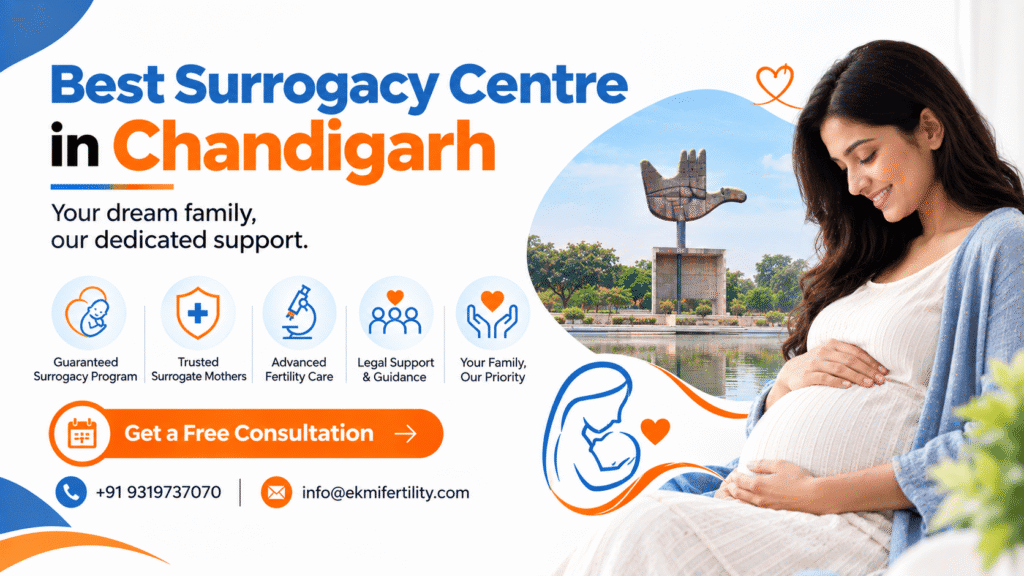 best surrogacy centre in Chandigarh