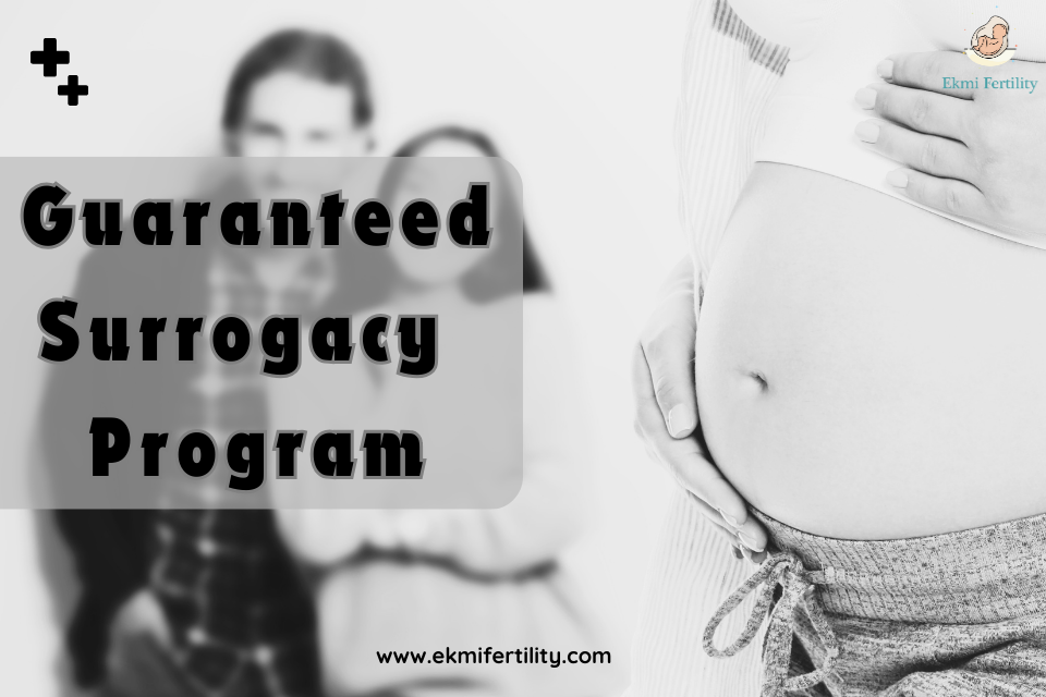 Guaranteed-Surrogacy-Program