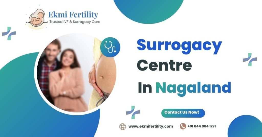 Best Surrogacy Centre in Nagaland