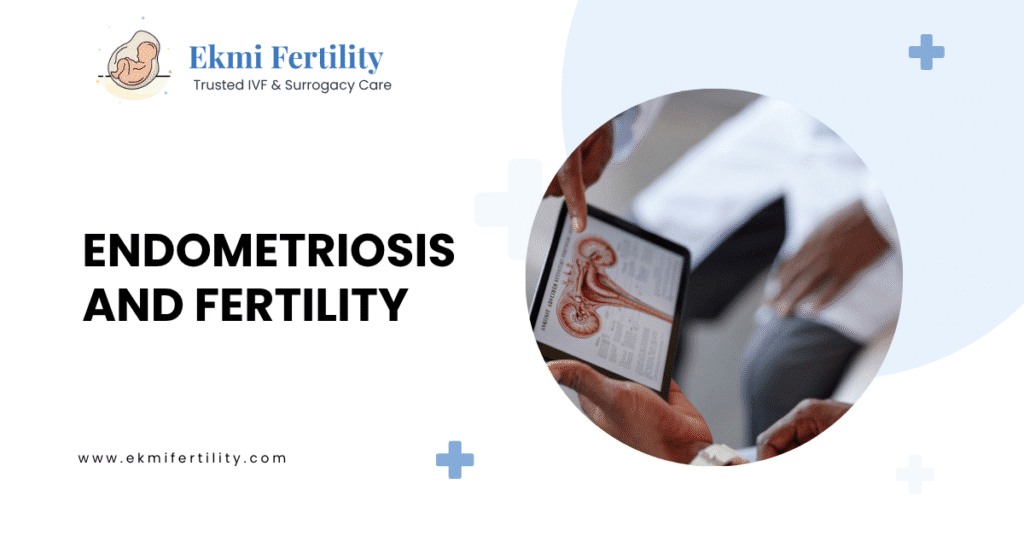 How Endometriosis Affects Fertility