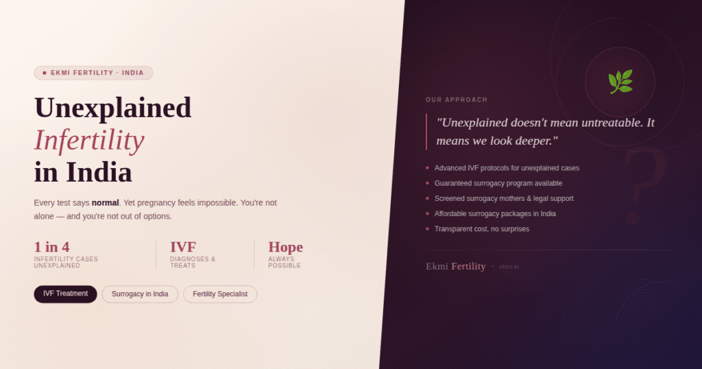 Ekmi Fertility offers IVF and surrogacy solutions for couples with no clear diagnosis
