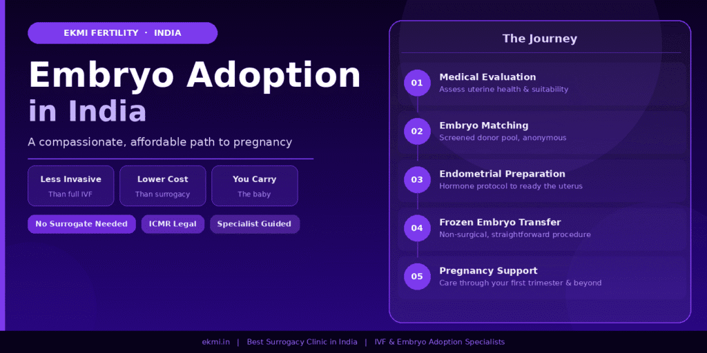 Ekmi Fertility's compassionate guide to an affordable, fertility specialist-guided path to pregnancy, including the 5-step frozen embryo transfer journey from evaluation to first trimester support