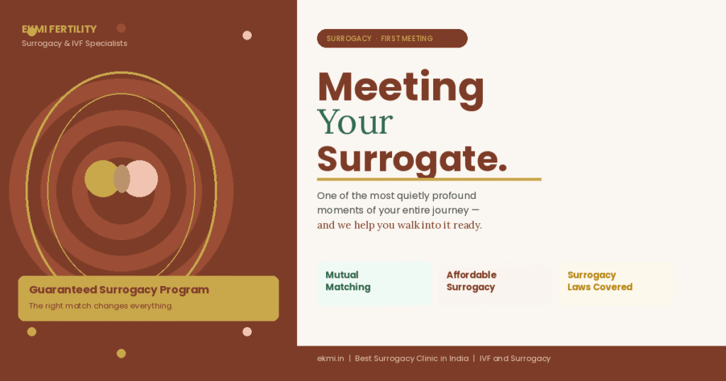 Ekmi Fertility's guide to the surrogacy matching process
