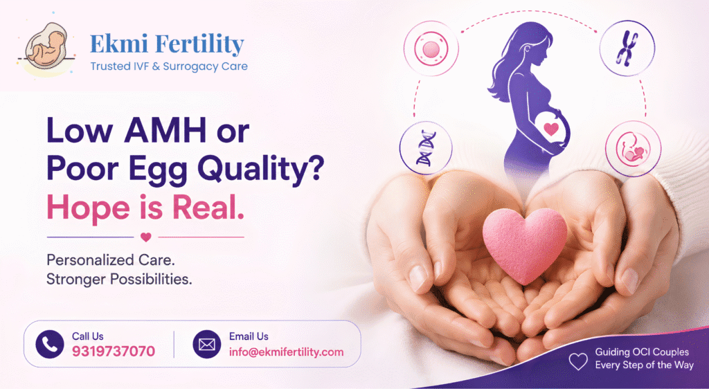 surrogacy for OCI couples with low AMH